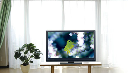 LCD televize Regza